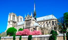 Notre Dame Cathedral
